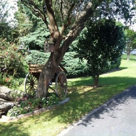 Dargaville Motel Εξωτερικό φωτογραφία